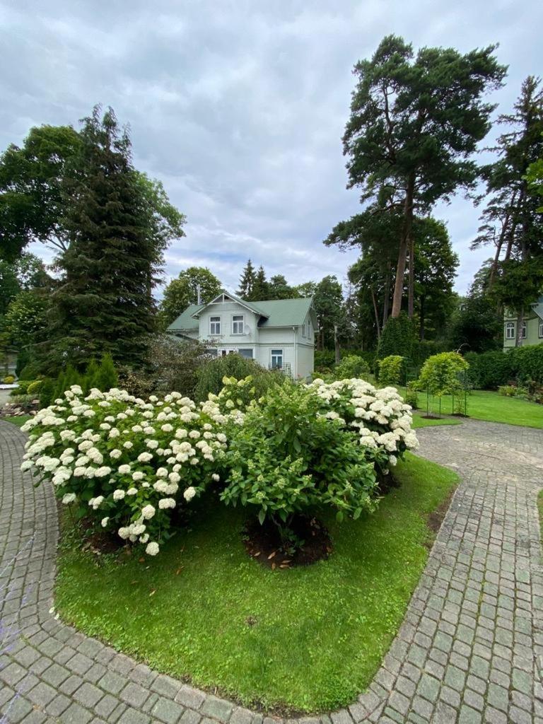 Jurmala Vacation House Bagian luar foto